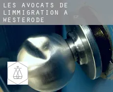 Les avocats de l'immigration à  Westerode