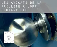 Les avocats de la faillite à  Lorp-Sentaraille