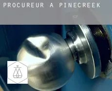 Procureur à  Pinecreek