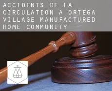 Accidents de la circulation à  Ortega Village Manufactured Home Community