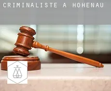 Criminaliste à Hohenau