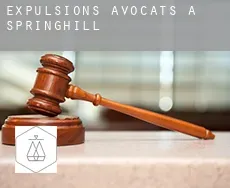 Expulsions avocats à Springhill