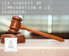 Les avocats de l'immigration à  Le Sourdeval
