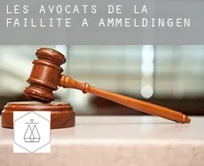 Les avocats de la faillite à  Ammeldingen