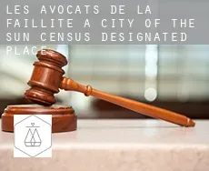 Les avocats de la faillite à City of the Sun