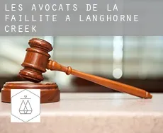 Les avocats de la faillite à  Langhorne Creek
