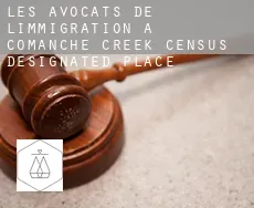Les avocats de l'immigration à  Comanche Creek