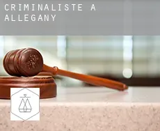 Criminaliste à Allegany