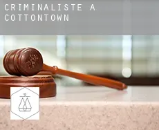 Criminaliste à Cottontown