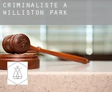 Criminaliste à  Williston Park