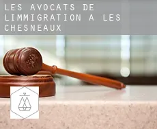 Les avocats de l'immigration à Les Chesneaux