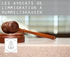 Les avocats de l'immigration à  Rummeltshausen