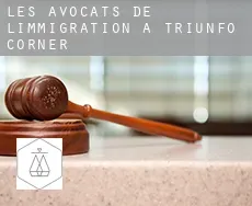 Les avocats de l'immigration à Triunfo Corner