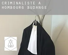 Criminaliste à  Hombourg-Budange