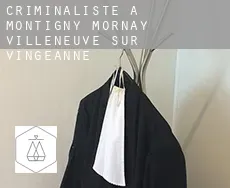 Criminaliste à  Montigny-Mornay-Villeneuve-sur-Vingeanne