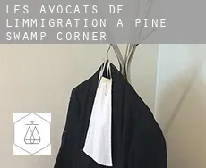 Les avocats de l'immigration à  Pine Swamp Corner