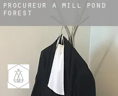 Procureur à  Mill Pond Forest