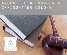 Avocat de blessures à  Springwater Colony