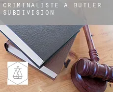 Criminaliste à  Butler Subdivision
