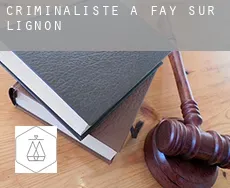 Criminaliste à Fay-sur-Lignon