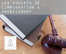 Les avocats de l'immigration à  Knobelsdorf