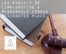 Les avocats de l'immigration à  Meadowvale