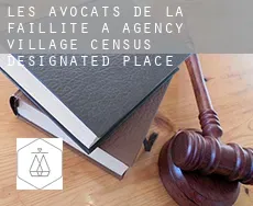 Les avocats de la faillite à  Agency Village