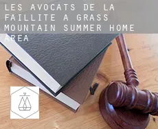 Les avocats de la faillite à  Grass Mountain Summer Home Area