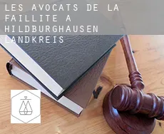 Les avocats de la faillite à Hildburghausen Landkreis