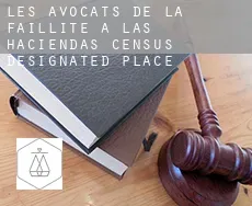 Les avocats de la faillite à  Las Haciendas