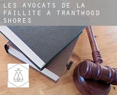 Les avocats de la faillite à  Trantwood Shores
