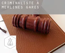 Criminaliste à  Merlines-Gares