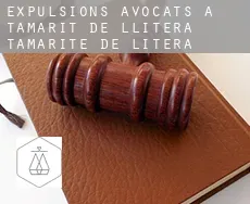 Expulsions avocats à Tamarit de Llitera