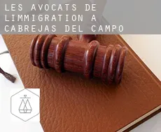 Les avocats de l'immigration à  Cabrejas del Campo