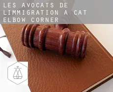 Les avocats de l'immigration à Cat Elbow Corner