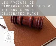 Les avocats de l'immigration à  City of the Sun