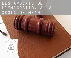 Les avocats de l'immigration à  La Croix de Méan