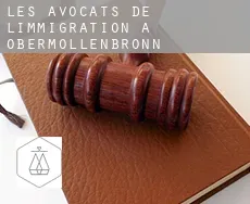 Les avocats de l'immigration à  Obermöllenbronn