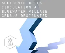 Accidents de la circulation à Bluewater Village