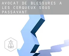 Avocat de blessures à  Les Cerqueux-sous-Passavant