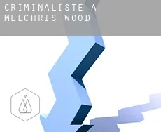 Criminaliste à  Melchris Wood
