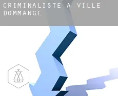 Criminaliste à Ville-Dommange