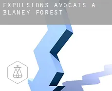 Expulsions avocats à  Blaney Forest