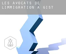 Les avocats de l'immigration à  Gist