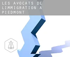 Les avocats de l'immigration à  Piedmont