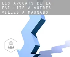 Les avocats de la faillite à  Autres Villes à Maunabo Municipio