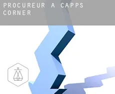 Procureur à  Capps Corner