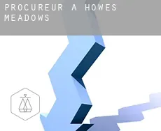 Procureur à  Howes Meadows