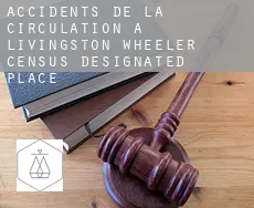 Accidents de la circulation à  Livingston Wheeler