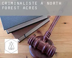 Criminaliste à  North Forest Acres
